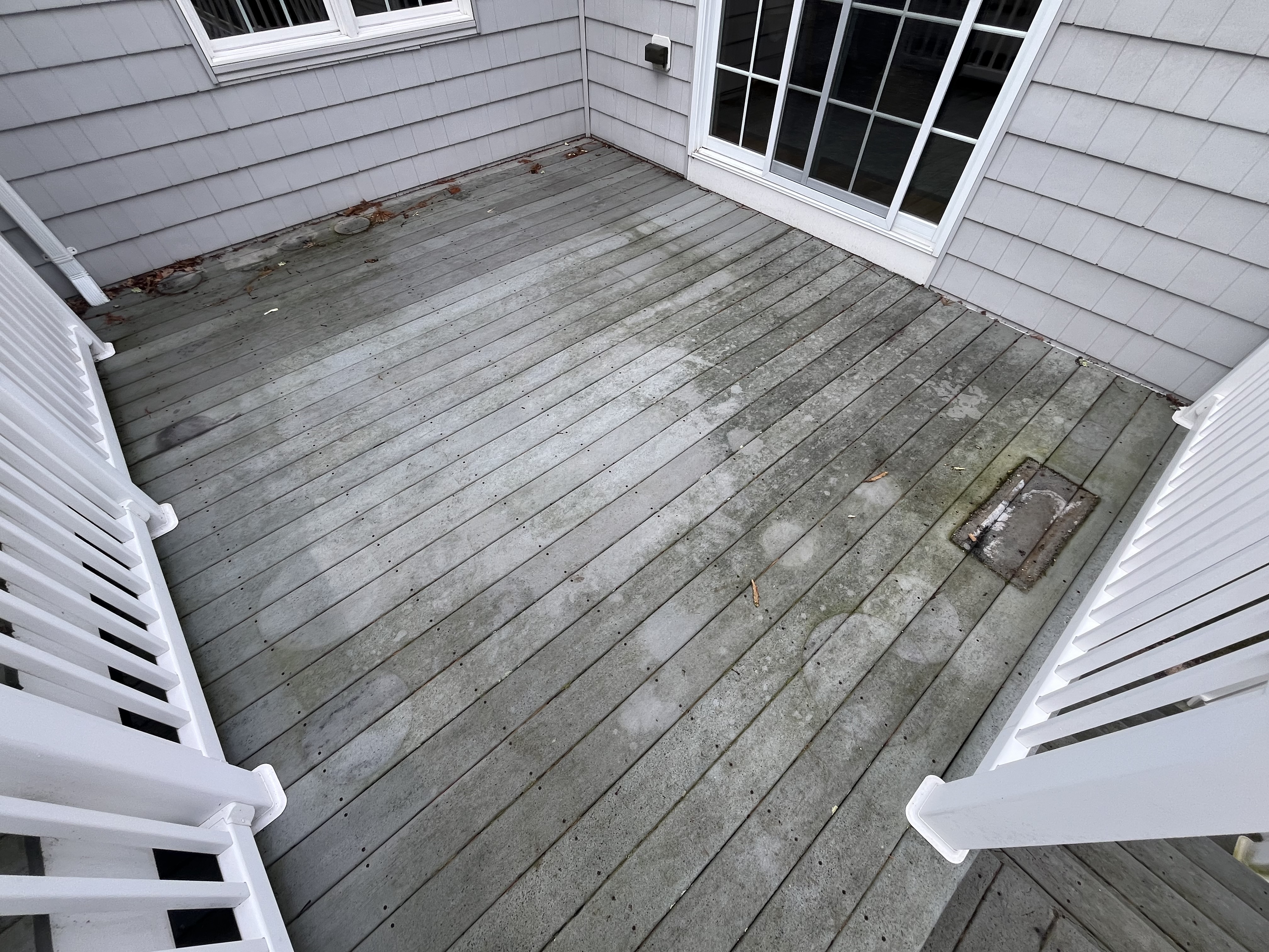 Deck before cleaning — dirty surface with algae and mold buildup