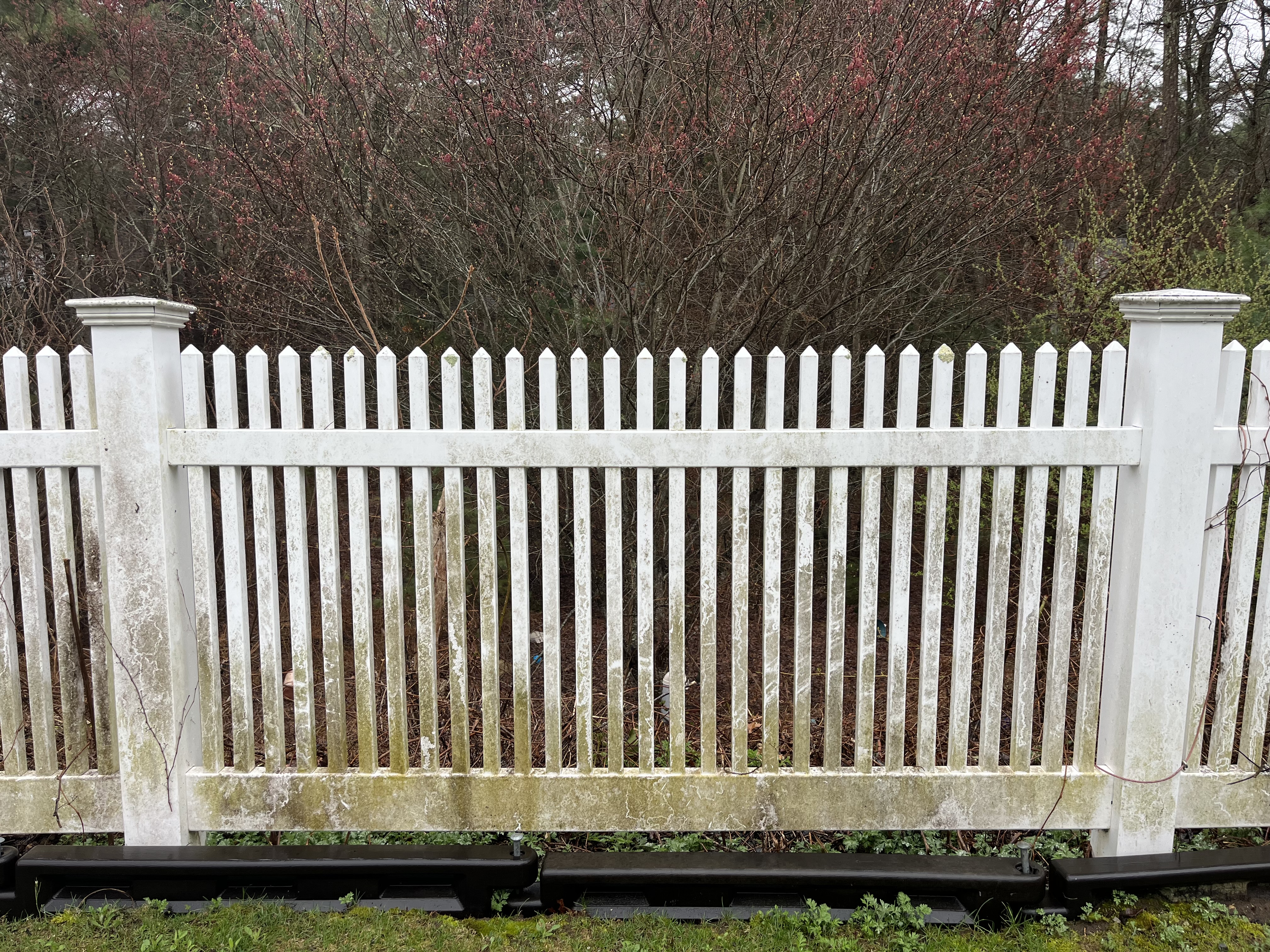 Fence before cleaning — dirty vinyl with algae and mold buildup
