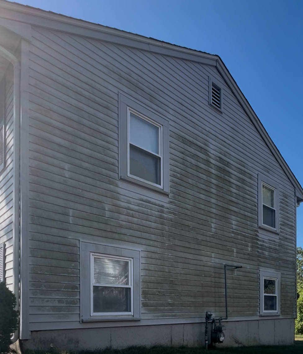 Before house washing showing dirty siding with algae and mold buildup