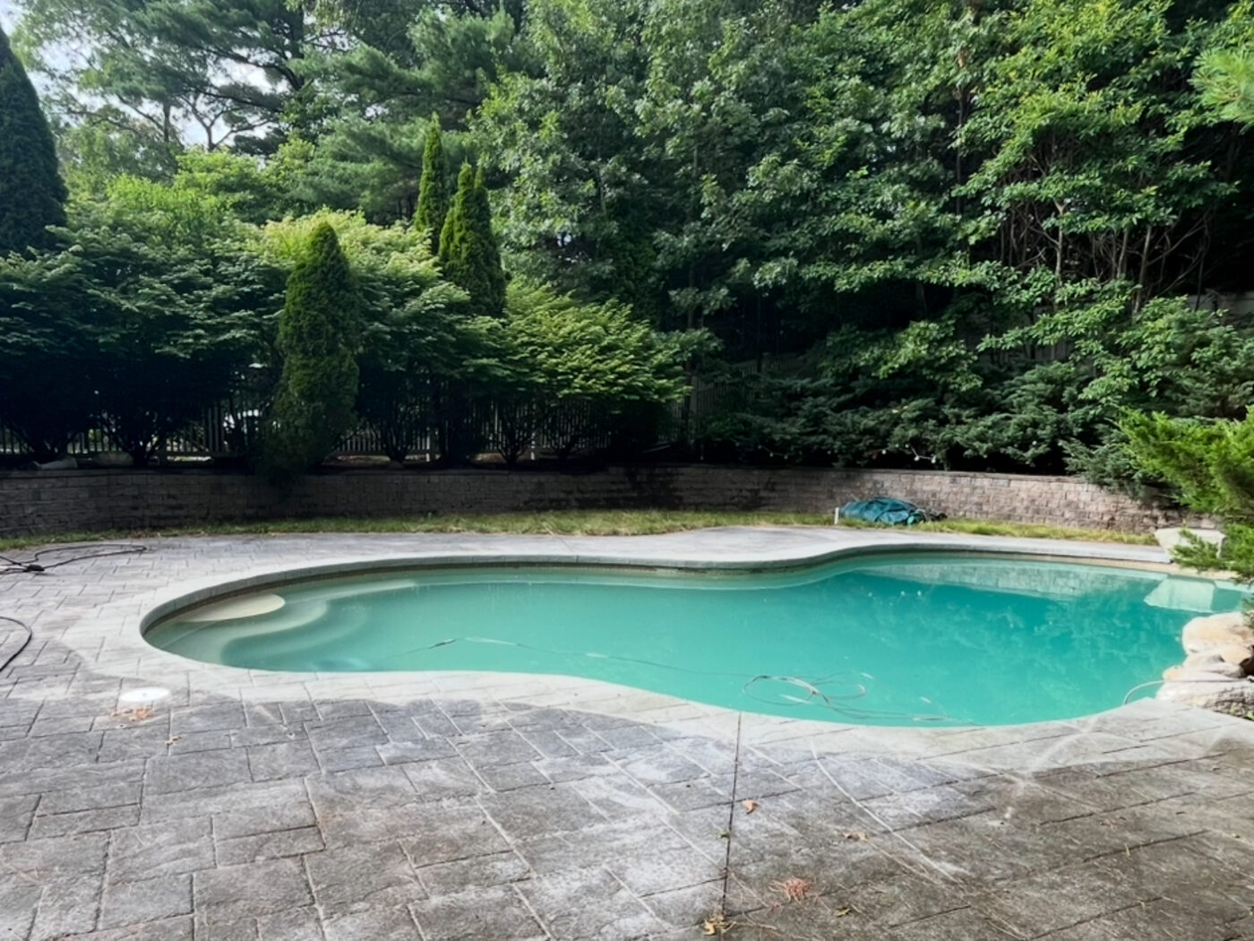 Concrete pool deck before cleaning — dark, dirty stamped concrete with algae and grime