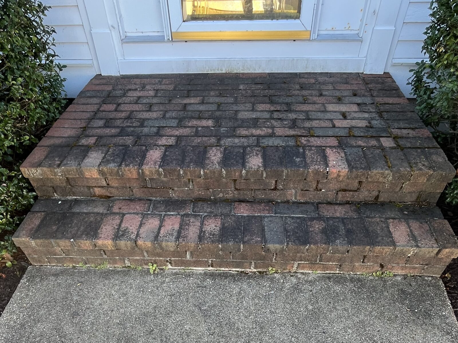 Before soft washing old brick front steps in Marshfield MA showing black mold and dark organic staining across the aged delicate brick