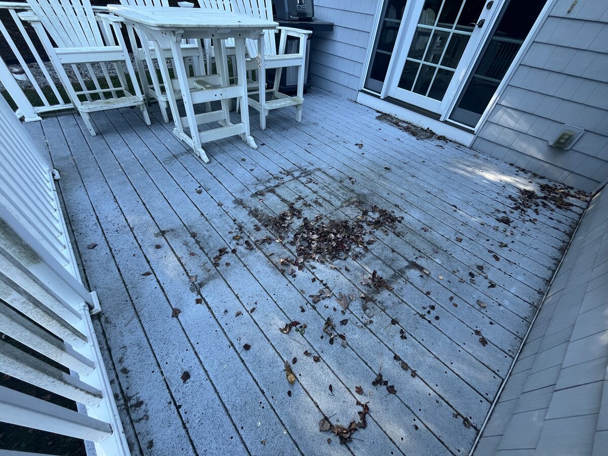 Before Trex deck cleaning in Marshfield MA showing grime and algae on composite decking