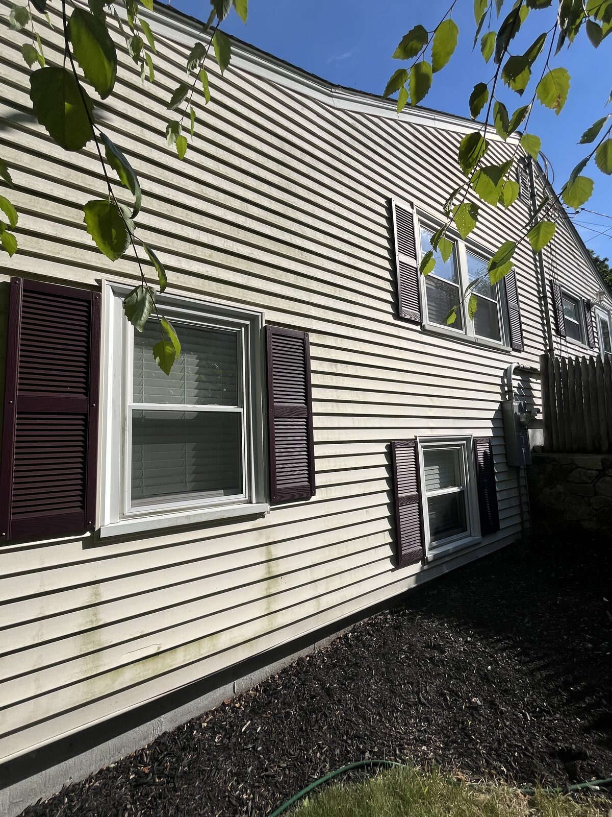 Before vinyl siding house washing in Hingham MA showing green mildew and algae streaks built up across the clapboard siding