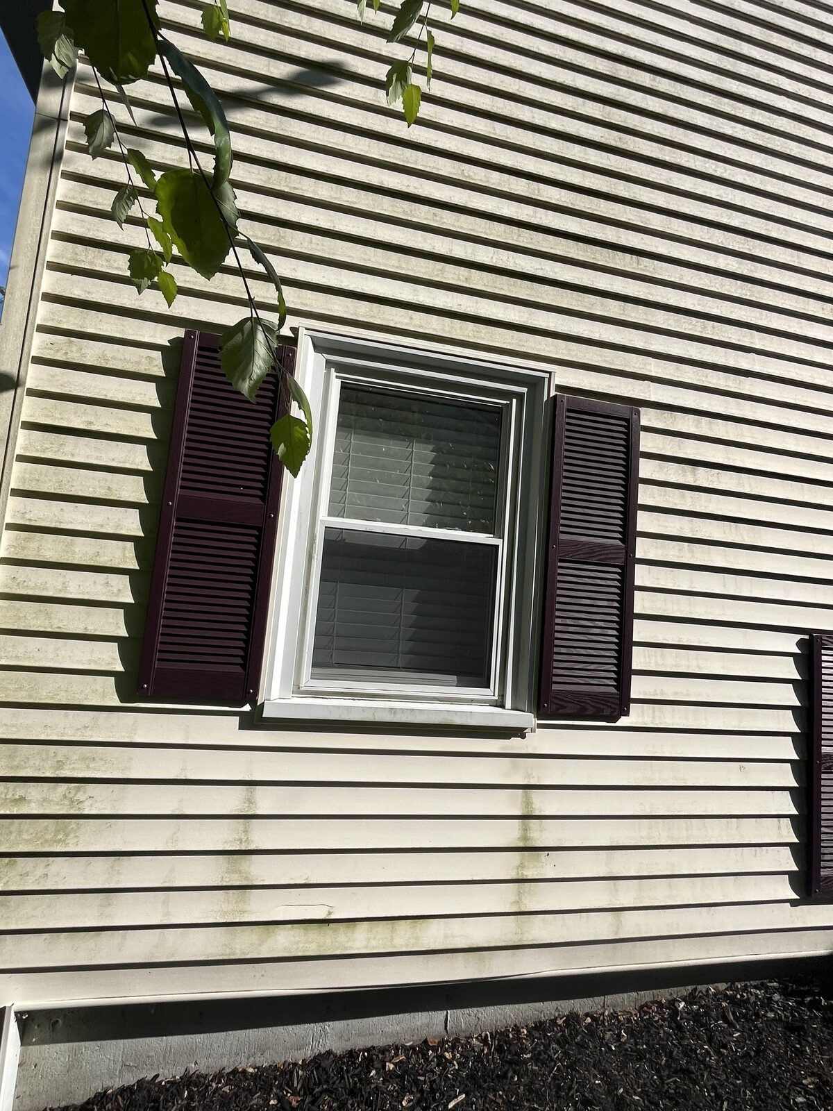 Before soft wash house washing in Marshfield MA showing algae and green organic staining on the siding