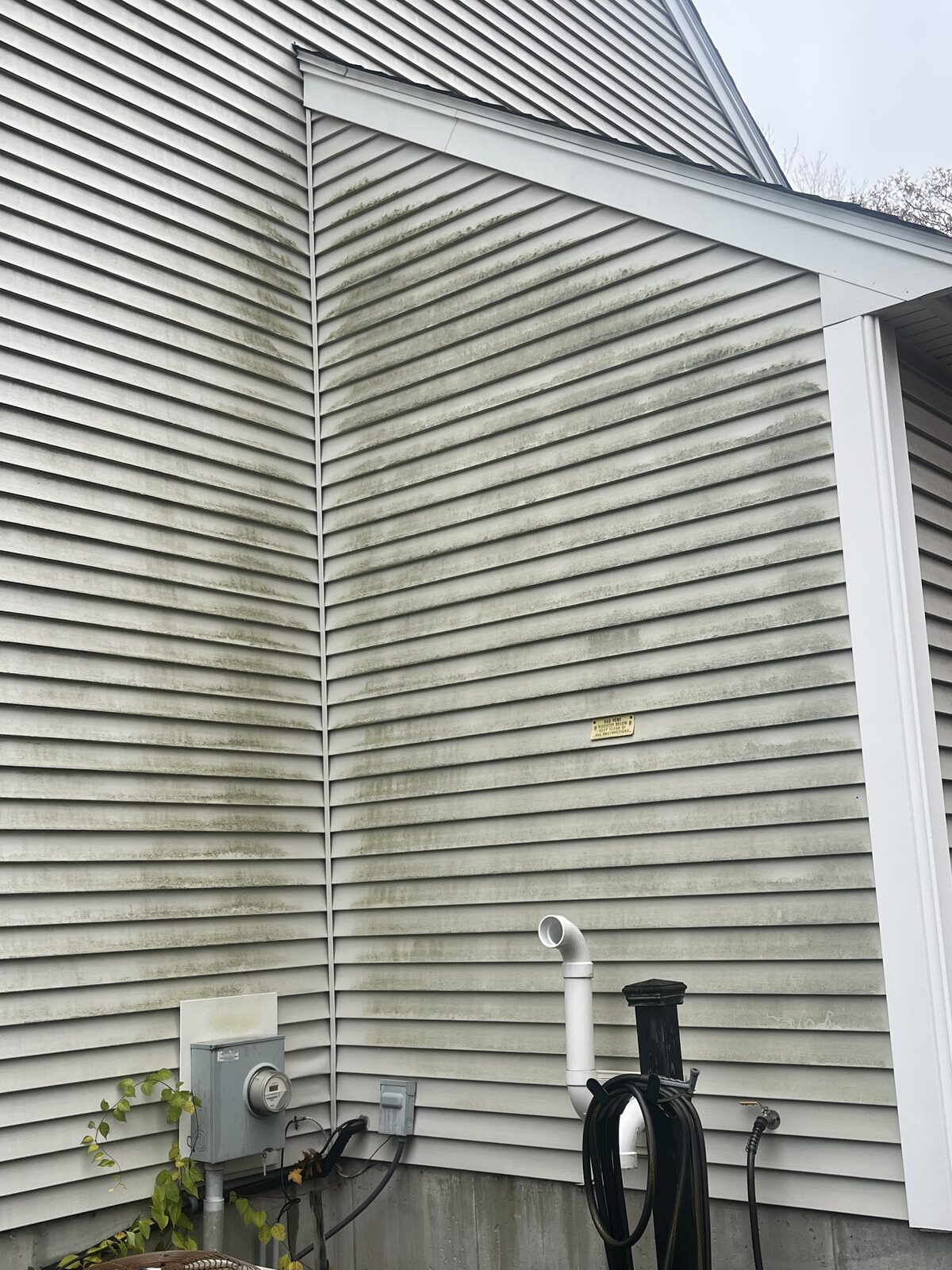 Before vinyl siding wash on the north-facing side of a Weymouth MA home showing heavy dark green organic buildup across the shaded wall