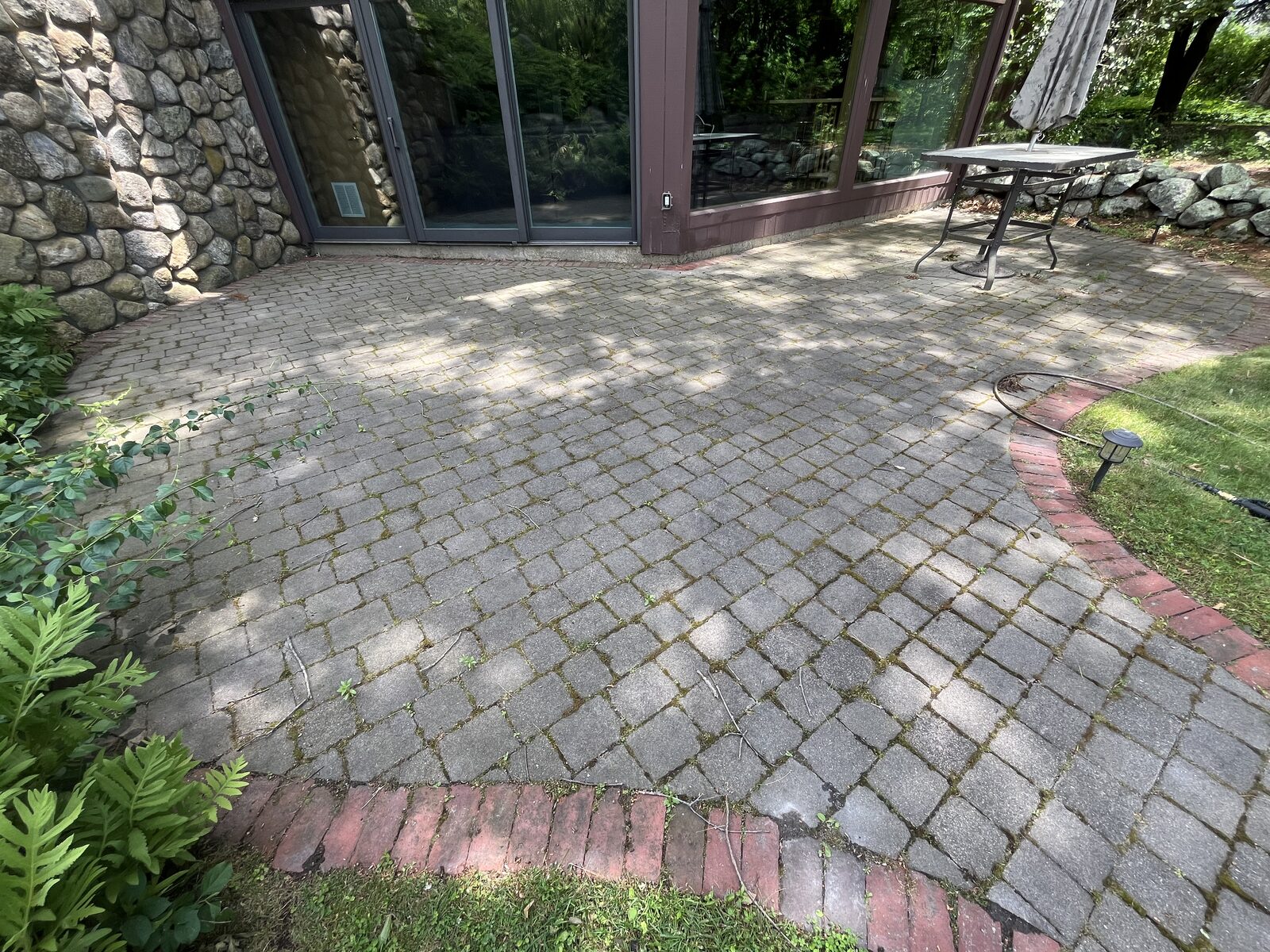 Moss removal from pavers in Marshfield MA, organic buildup in paver joints before cleaning by H2WOAH