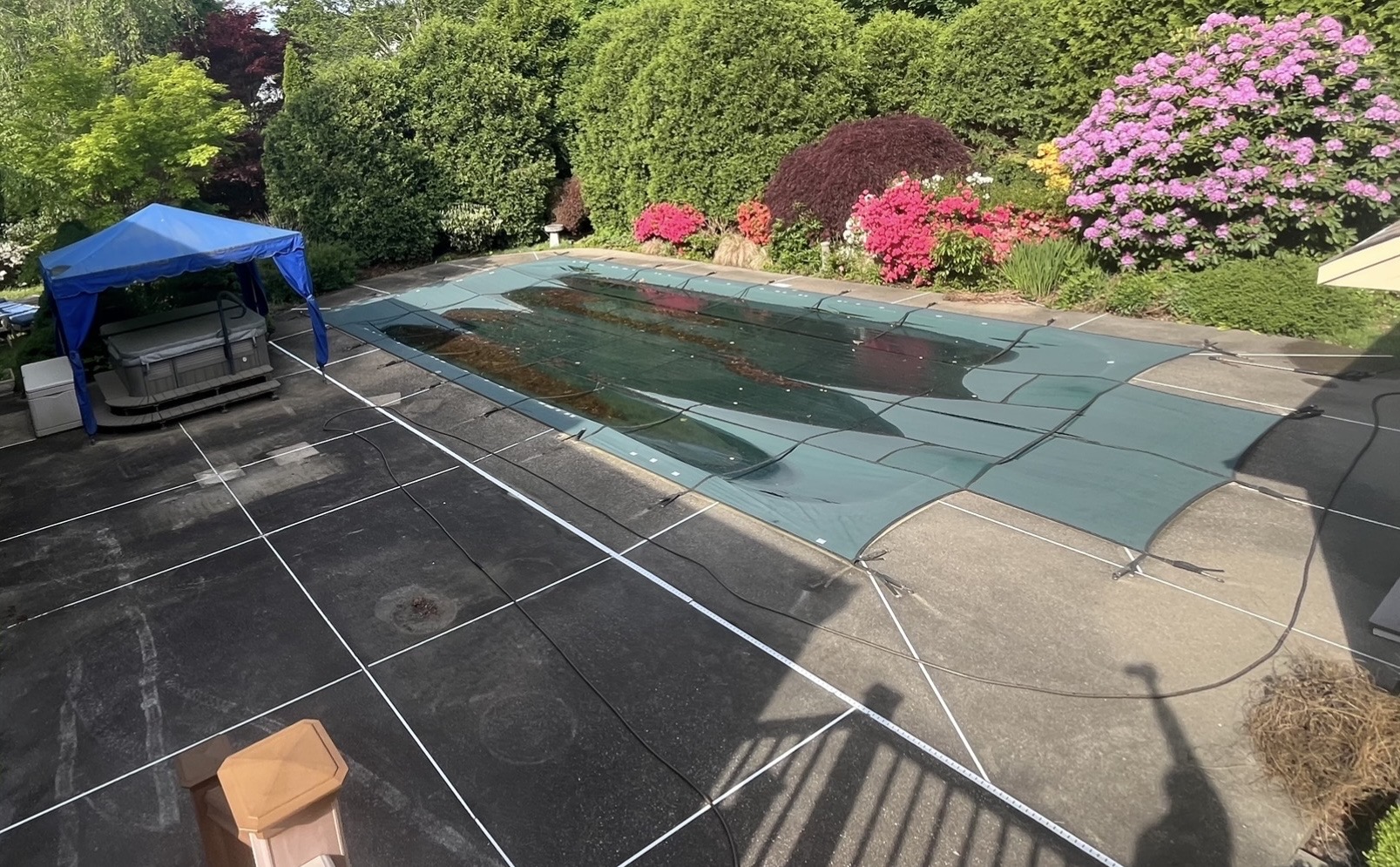 Before pool deck cleaning in Marshfield MA showing heavy black algae and organic staining across the concrete patio