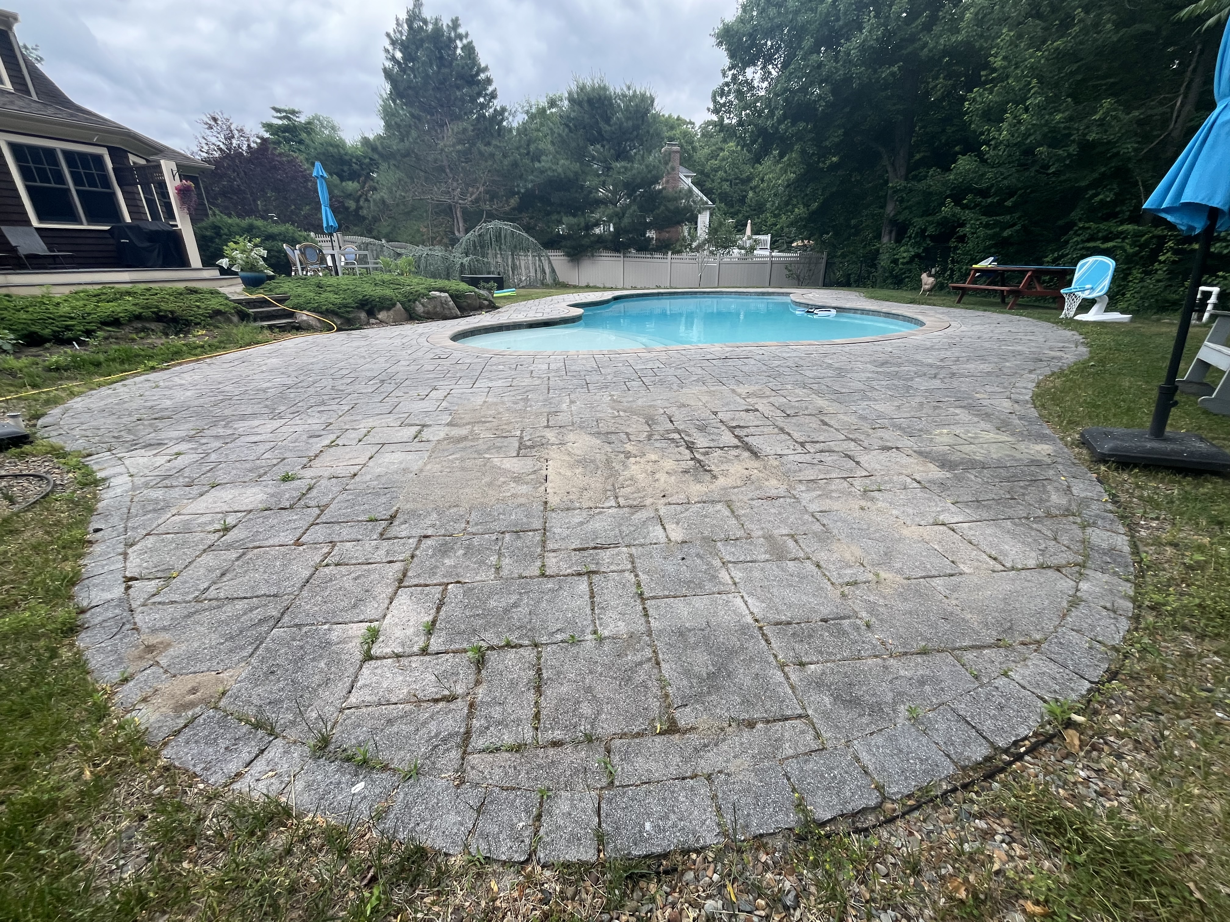Before pool deck cleaning in Scituate MA showing dull gray pavers with weeds and organic buildup around the pool