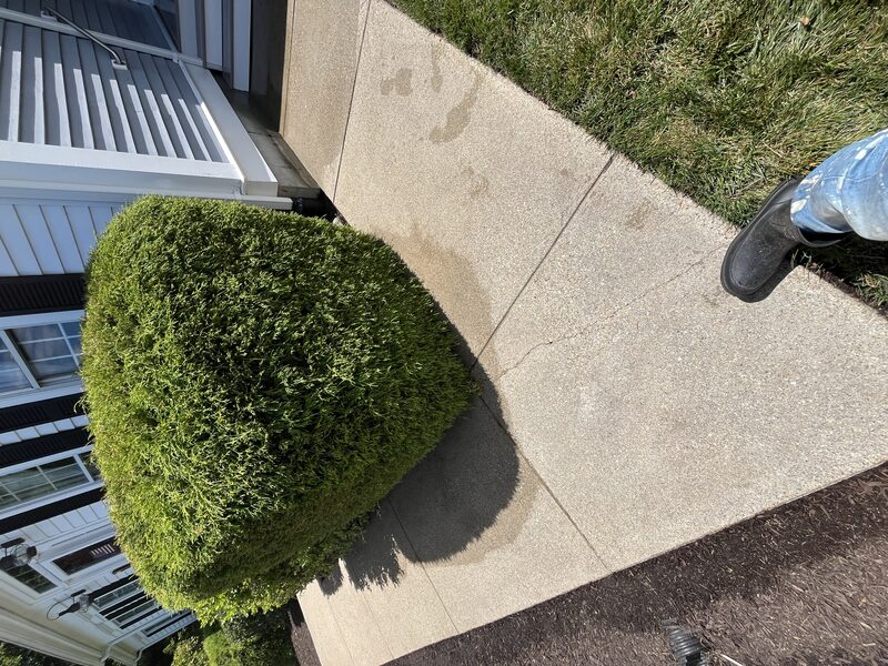 Driveway and walkway pressure washing result