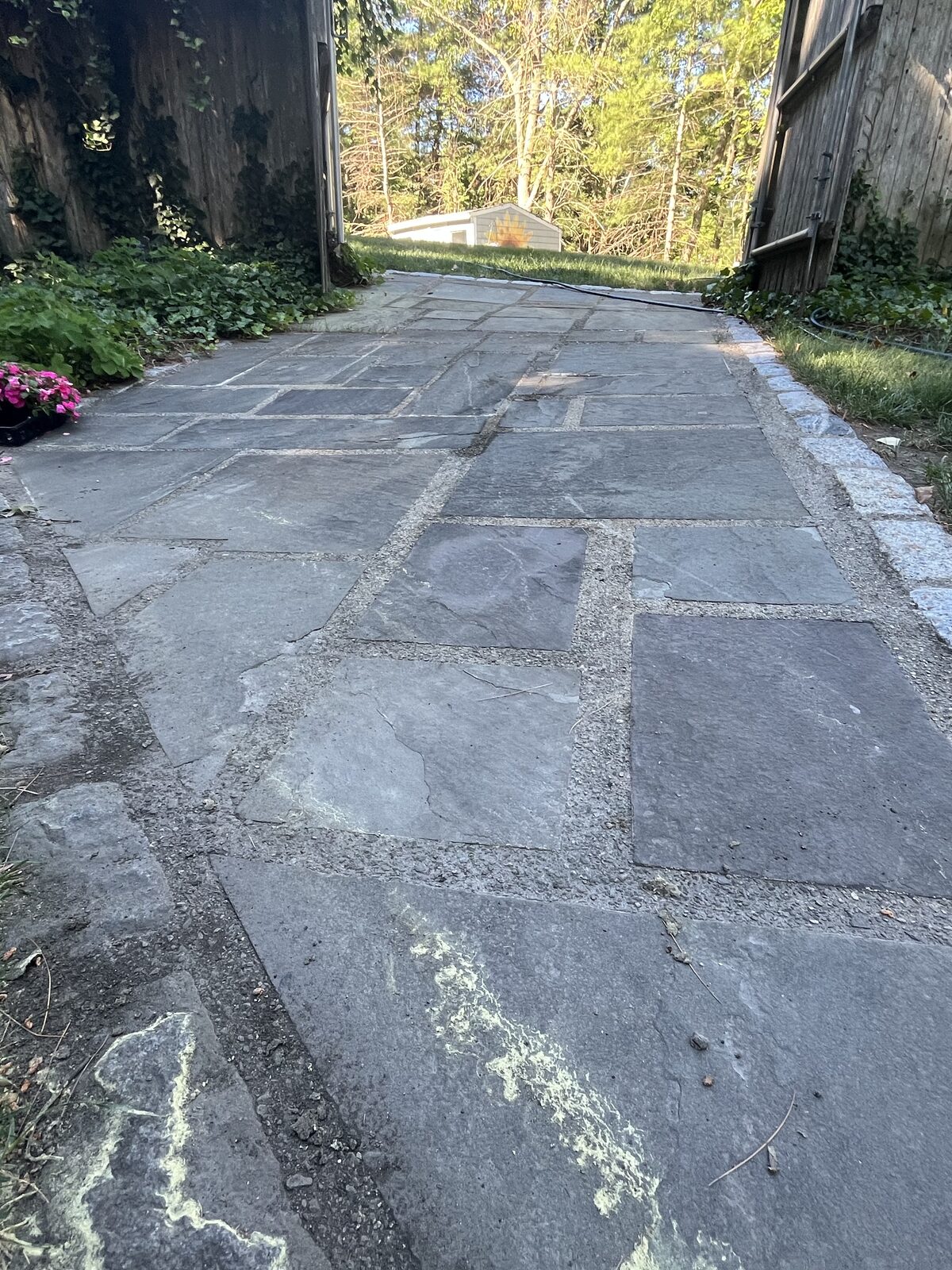 Stone walkway with algae and dirt buildup before cleaning in Marshfield MA