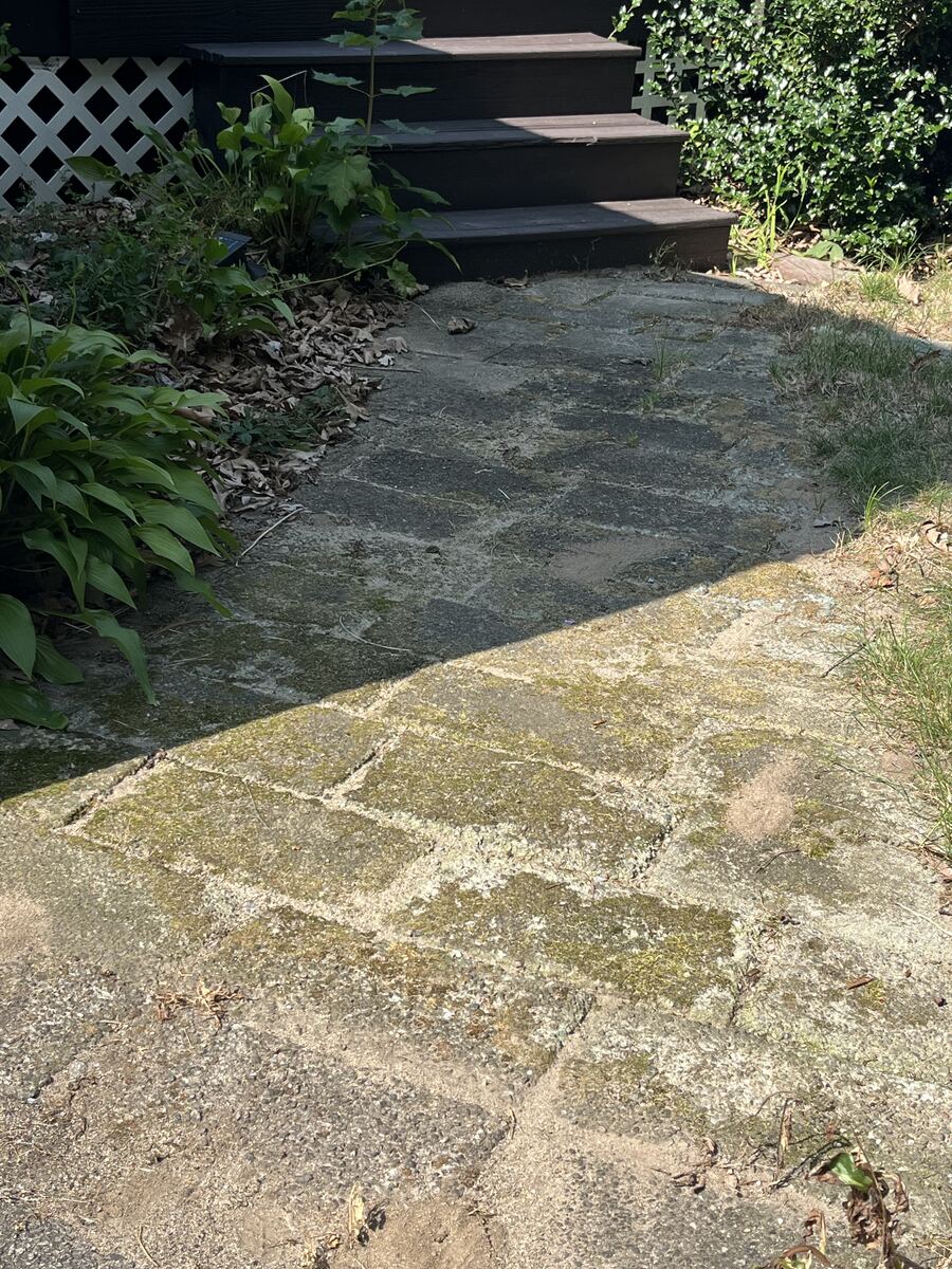 Before walkway pressure washing in Weymouth MA showing heavy moss and lichen on stone pavers